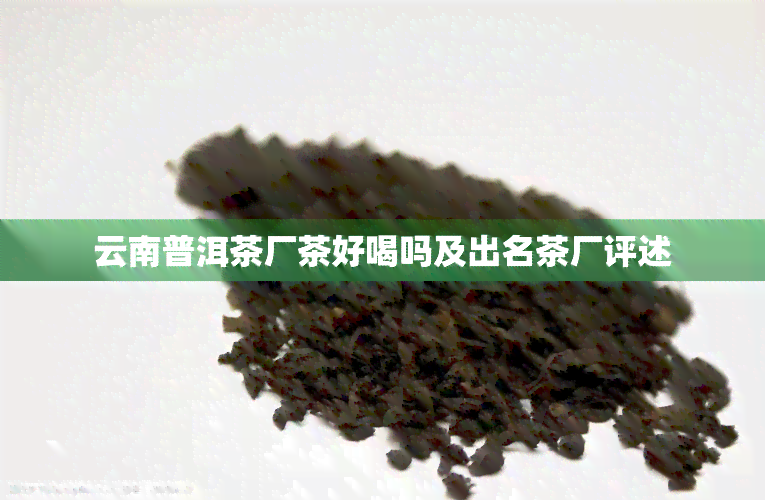 云南普洱茶厂茶好喝吗及出名茶厂评述