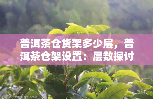 普洱茶仓货架多少层，普洱茶仓架设置：层数探讨