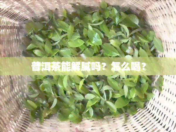 普洱茶能解腻吗？怎么喝？