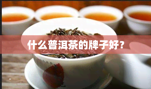 什么普洱茶的牌子好？