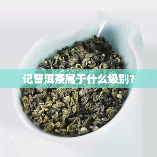 记普洱茶属于什么级别？