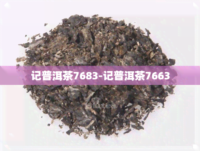 记普洱茶7683-记普洱茶7663