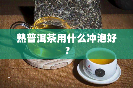 熟普洱茶用什么冲泡好？