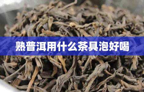 熟普洱用什么茶具泡好喝