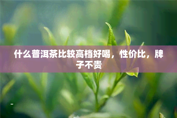 什么普洱茶比较高档好喝，性价比，牌子不贵