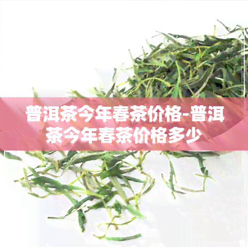 普洱茶今年春茶价格-普洱茶今年春茶价格多少