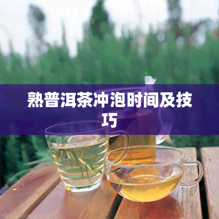 熟普洱茶冲泡时间及技巧