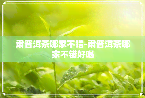 肃普洱茶哪家不错-肃普洱茶哪家不错好喝