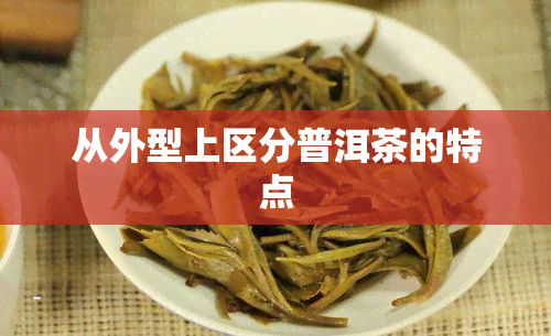 从外型上区分普洱茶的特点