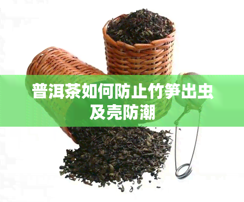 普洱茶如何防止竹笋出虫及壳防潮