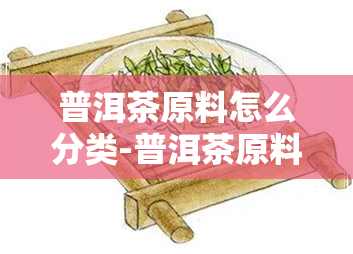 普洱茶原料怎么分类-普洱茶原料怎么分类的