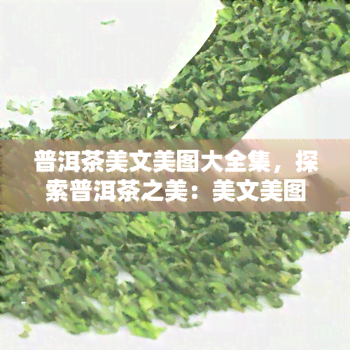 普洱茶美文美图大全集，探索普洱茶之美：美文美图大全集