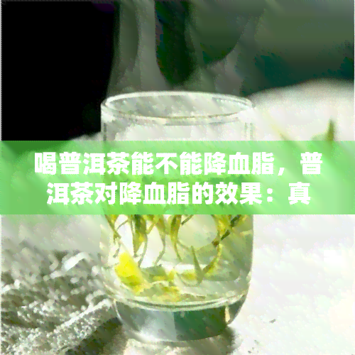 喝普洱茶能不能降血脂，普洱茶对降血脂的效果：真相揭秘！