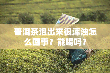 普洱茶泡出来很浑浊怎么回事？能喝吗？