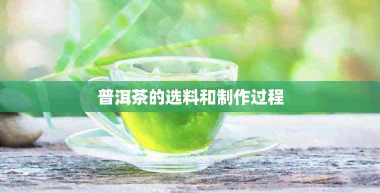 普洱茶的选料和制作过程