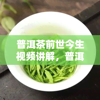 普洱茶前世今生视频讲解，普洱茶前世今生：视频讲解解密