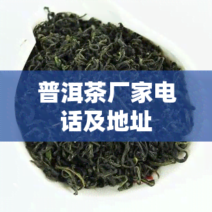 普洱茶厂家电话及地址