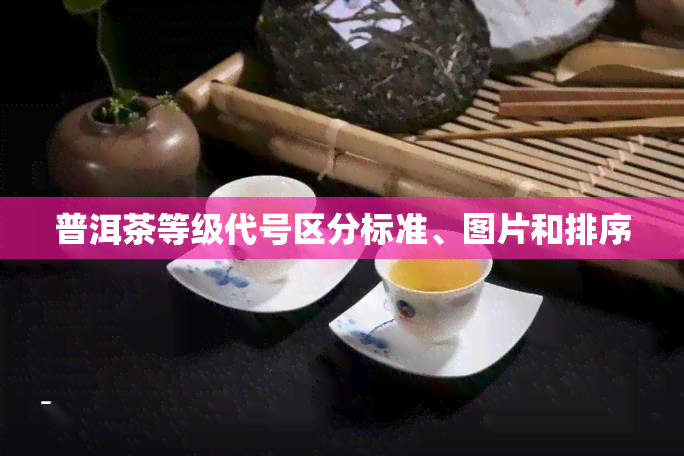 普洱茶等级代号区分标准、图片和排序