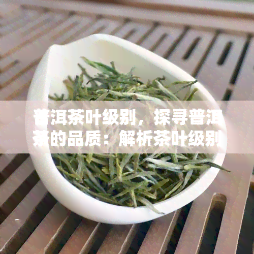 普洱茶叶级别，探寻普洱茶的品质：解析茶叶级别的奥秘