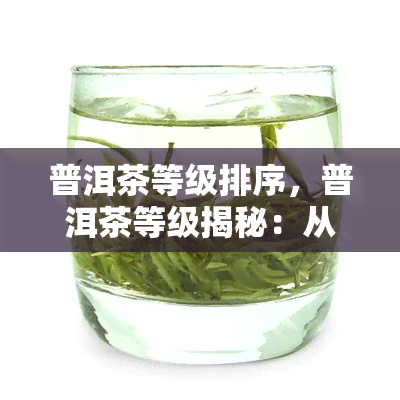 普洱茶等级排序，普洱茶等级揭秘：从高到低的排序解析