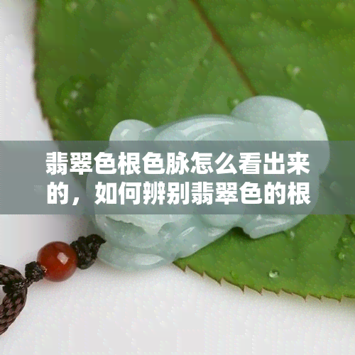 翡翠色根色脉怎么看出来的，如何辨别翡翠色的根色与脉络色？