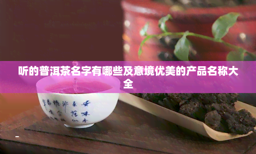 听的普洱茶名字有哪些及意境优美的产品名称大全