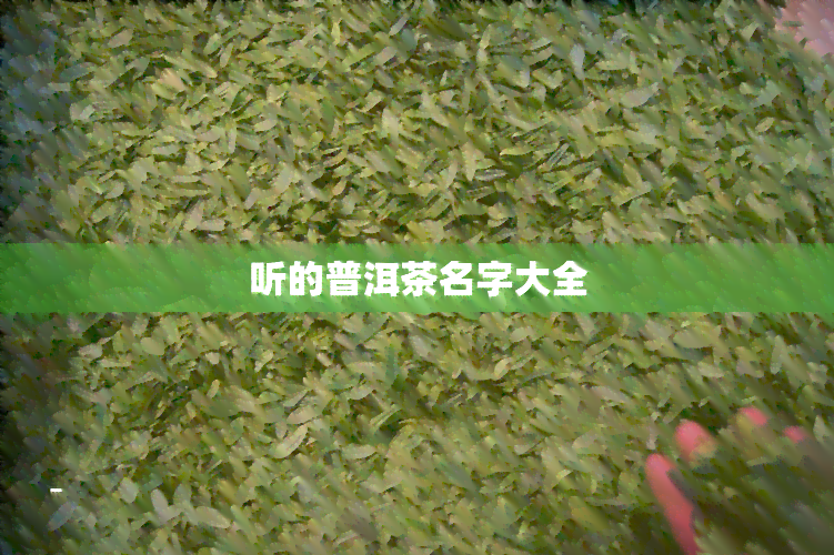 听的普洱茶名字大全