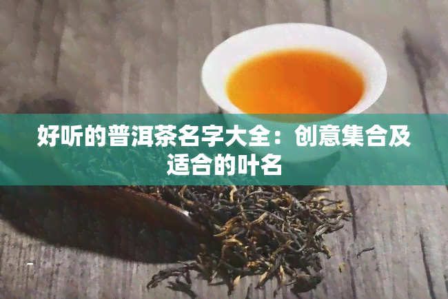 好听的普洱茶名字大全：创意 *** 及适合的叶名