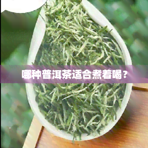 哪种普洱茶适合煮着喝？