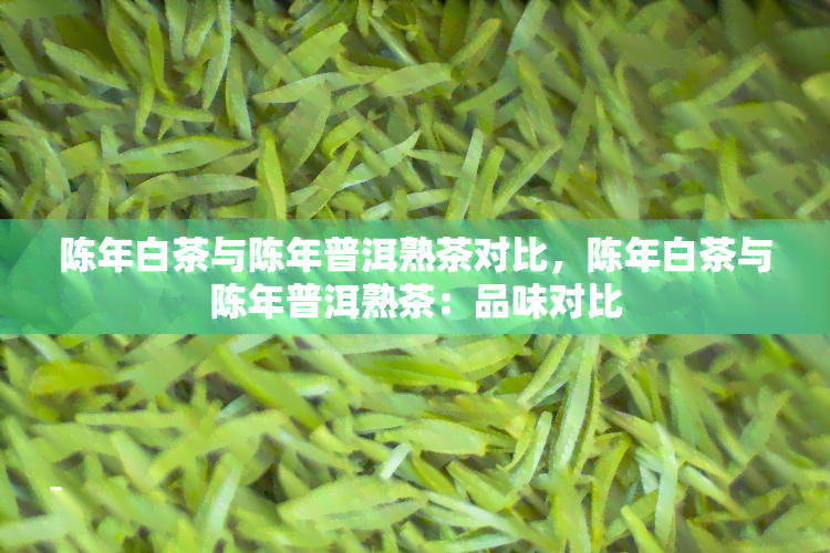 陈年白茶与陈年普洱熟茶对比，陈年白茶与陈年普洱熟茶：品味对比