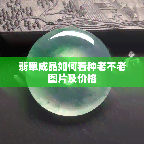 翡翠成品如何看种老不老图片及价格