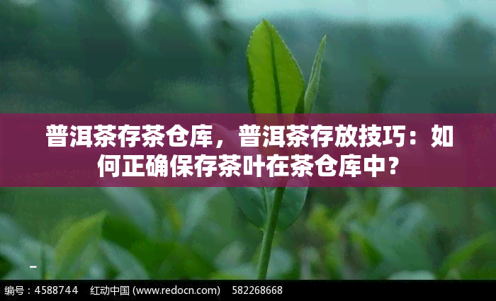 普洱茶存茶仓库，普洱茶存放技巧：如何正确保存茶叶在茶仓库中？