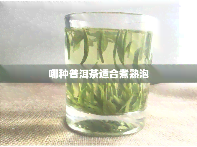 哪种普洱茶适合煮熟泡