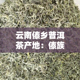 云南傣乡普洱茶产地：傣族山寨茶