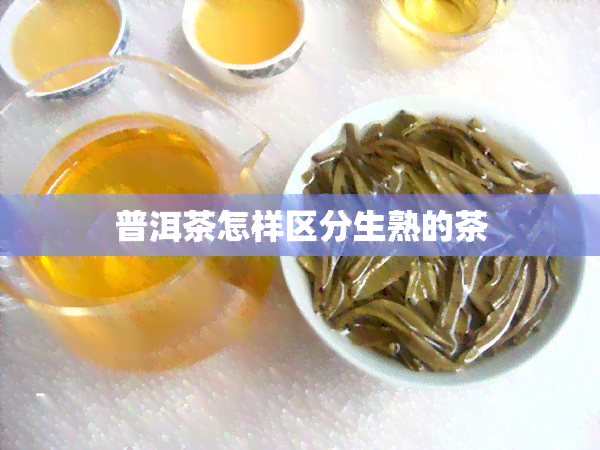 普洱茶怎样区分生熟的茶