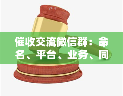 交流微信群：命名、平台、业务、同行交流