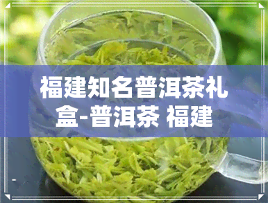 福建知名普洱茶礼盒-普洱茶 福建