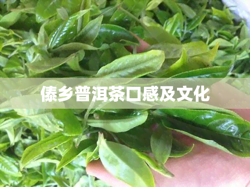 傣乡普洱茶口感及文化