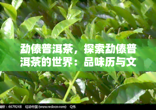 勐傣普洱茶，探索勐傣普洱茶的世界：品味历与文化的绝妙体验