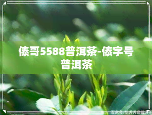 傣哥5588普洱茶-傣字号普洱茶