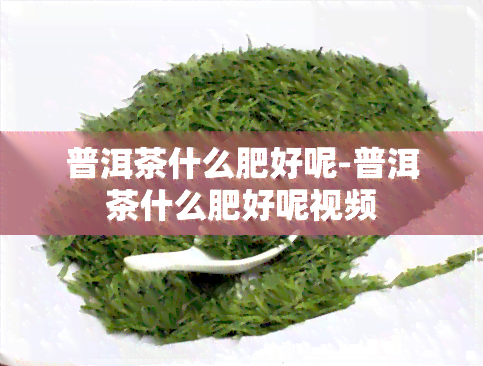 普洱茶什么肥好呢-普洱茶什么肥好呢视频