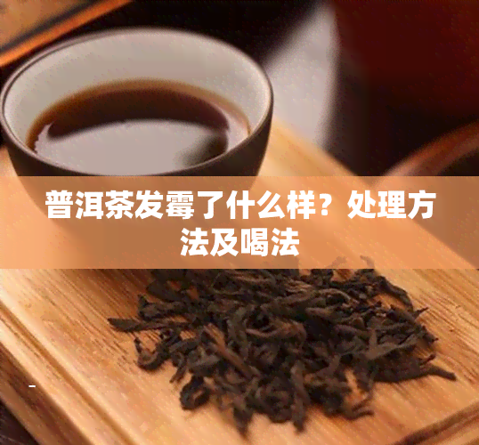 普洱茶发霉了什么样？处理方法及喝法