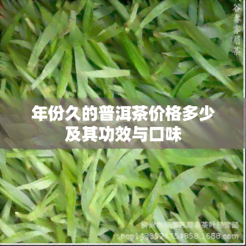 年份久的普洱茶价格多少及其功效与口味