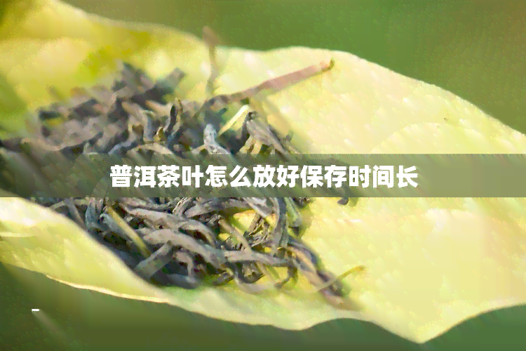 普洱茶叶怎么放好保存时间长