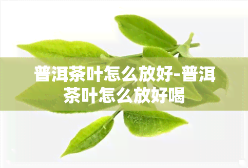 普洱茶叶怎么放好-普洱茶叶怎么放好喝