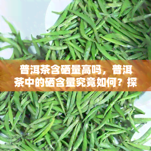 普洱茶含硒量高吗，普洱茶中的硒含量究竟如何？探寻其高含量之谜