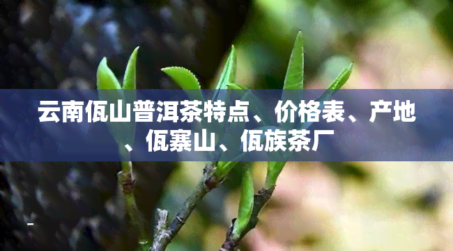 云南佤山普洱茶特点、价格表、产地、佤寨山、佤族茶厂