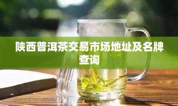 陕西普洱茶交易市场地址及名牌查询