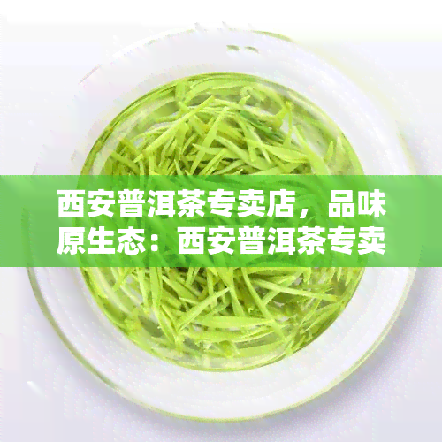 西安普洱茶专卖店，品味原生态：西安普洱茶专卖店为您呈现纯正滋味