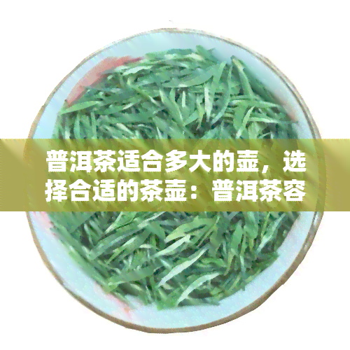 普洱茶适合多大的壶，选择合适的茶壶：普洱茶容器大小探究